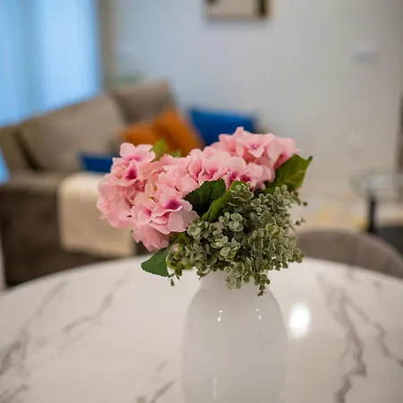 Apartamento Terro Collection - Dom Pedro V
